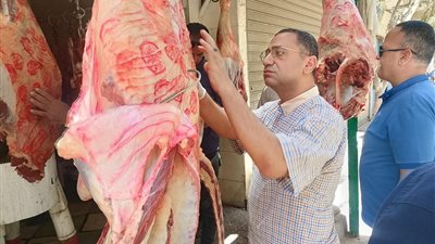 تحرير 240 مخالفة تموينية خلال حملات رقابية مكثفة بمراكز المنيا