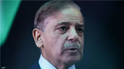 رئيس وزراء باكستان: جهود الوساطة بين واشنطن وطهران تقترب من تحقيق أهدافها