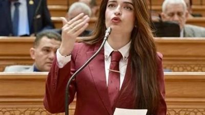 زيادة شرائح الكهرباء تحت قبة البرلمان.. وإيرين سعيد تطالب الحكومة بالتوضيح