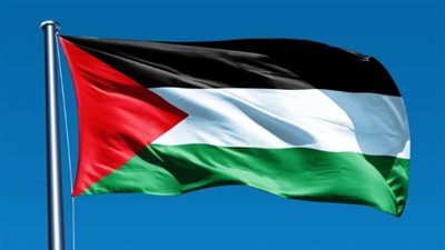 رئيس الهيئة الدولية لدعم فلسطين: نثمن الموقف المصري والصيني الرافض لتهجير الفلسطينيين