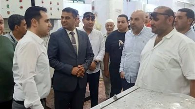 نائب محافظ الدقهلية يتفقد المنطقة الصناعية بجمصة لدعم المستثمرين 