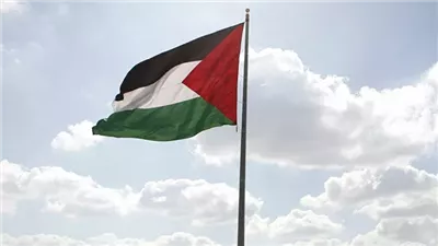 فلسطين تدين مجزرة الاحتلال في حي الرمال وتطالب بحماية دولية عاجلة