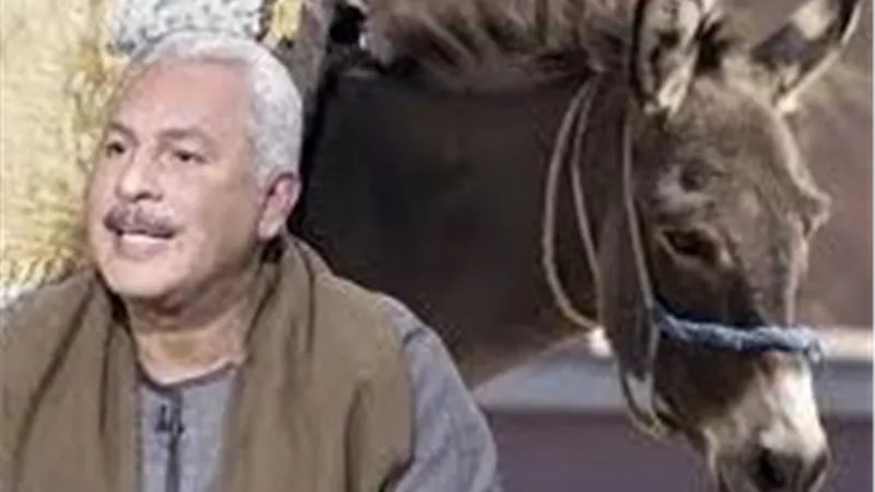 من ألف لـ15 ألف جنيه.. نقيب الفلاحين يحذر من ارتفاع أسعار الحمير 