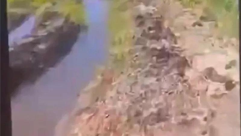 مواطن يزيل قنطرة بهدف قطع الطريق وضمّه لملكيته الخاصة بكفر الشيخ والأهالي يستغيثون