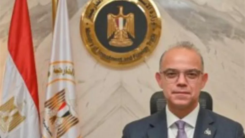 وزير الاستثمار: تأسيس المراكز المالية متخصصة يدعم تحول مصر إلى مركز للاستثمار