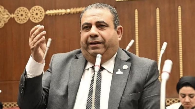 النائب أيمن الصفتي، عضو مجلس الشيوخ
