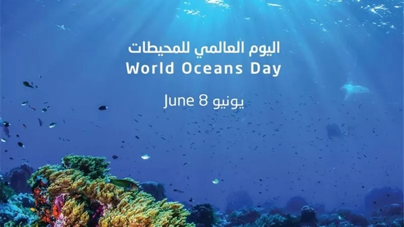 في يوم المحيطات العالمي.. خبراء بالإسكندرية يدعوات للحفاظ على النظم البيئية البحرية