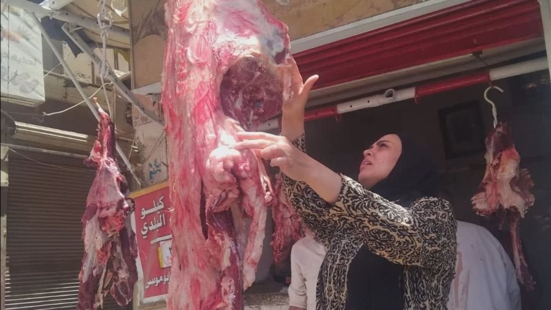 حملات تفتيشية بالمنيا