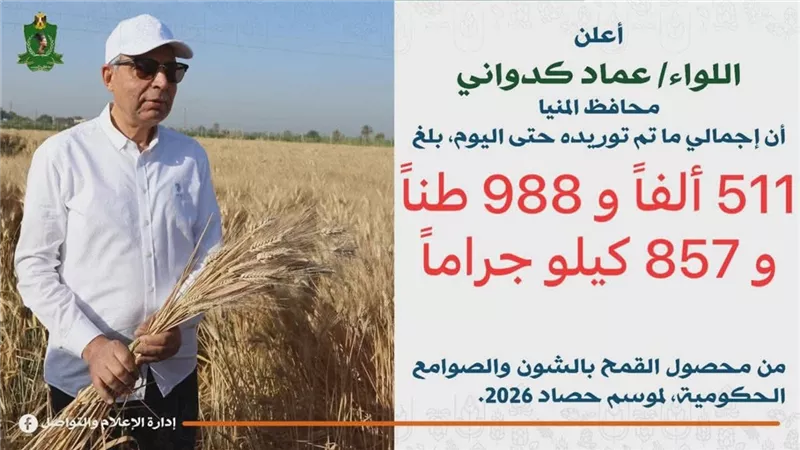  512 ألف طن قمح حصيلة التوريد بالمنيا حتى الآن خلال موسم 2026
