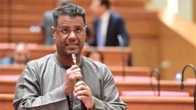 برلماني: مشاركة مصر في قمة 