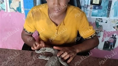 من قرموط إلى تمساح.. مفاجأة مدوية على شاطئ بحر الفرعونية بالمنوفية