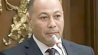 برلماني: إشادة ترامب بالدولة المصرية سيكون لها أثر إيجابي على الإقتصاد المصري..خاص