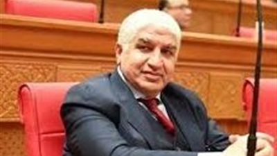 برلماني يطالب الحكومة بتقديم ضمانات لمستحقي الدعم قبل تطبيق الدعم النقدي 