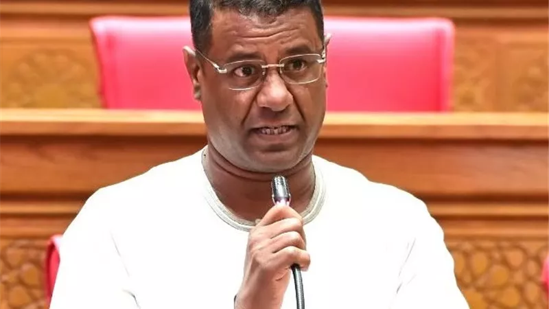 برلماني: أنا مش جاي أتفرج على نواب الأحزاب