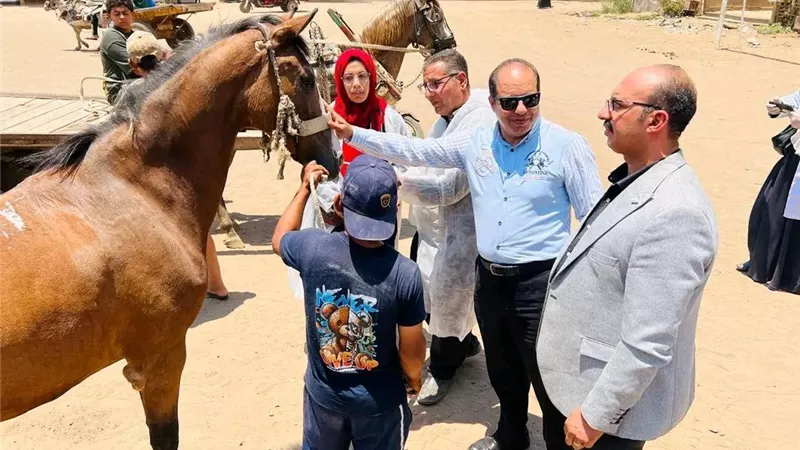 محافظ الدقهلية يتابع جهود الطب البيطري في تنفيذ القوافل العلاجية المجانية بقرى المحافظة