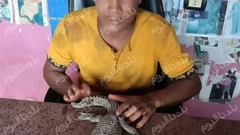 من قرموط إلى تمساح.. مفاجأة مدوية على شاطئ بحر الفرعونية بالمنوفية