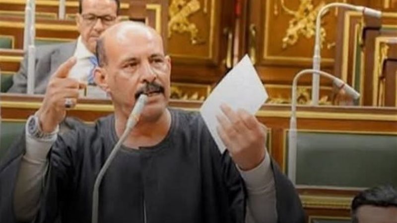 النائب فتحي قنديل