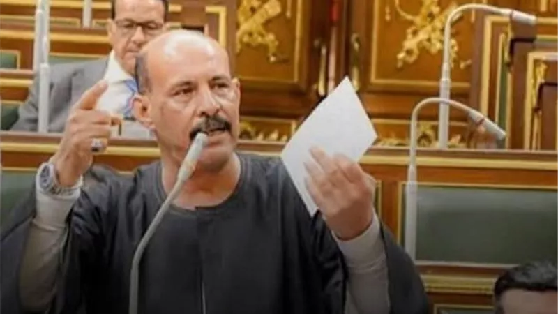  فتحي قنديل: الرئيس السيسي أعاد مكانة مصر بين العالم.. خاص