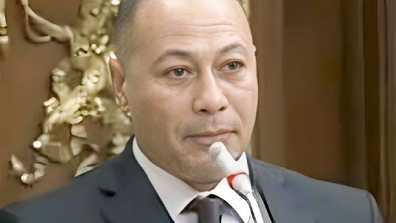 النائب علاء سليمان
