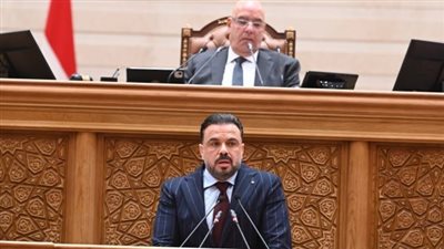 توصيات برلمانية لتطوير بيوت الشباب وإنشاء بديل لهم بالقاهرة بعد إزالة مقر المنيل
