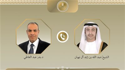 وزير الخارجية يبحث مع نظيره الإماراتي مستجدات الأوضاع الإقليمية وتعزيز التنسيق المشترك