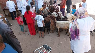 قوافل بيطرية مجانية تجوب قرى سوهاج لدعم الثروة الحيوانية وتقديم الرعاية العلاجية