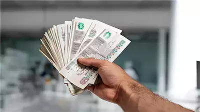 استمرار أزمة سيستم المعاشات يثير غضب البرلمان.. ومطالبات بمحاسبة المقصرين