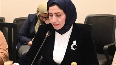 نائبة بالبرلمان تقترح قصر تقنين التكاتك على المناطق الشعبية وحظرها داخل المدن الجديدة