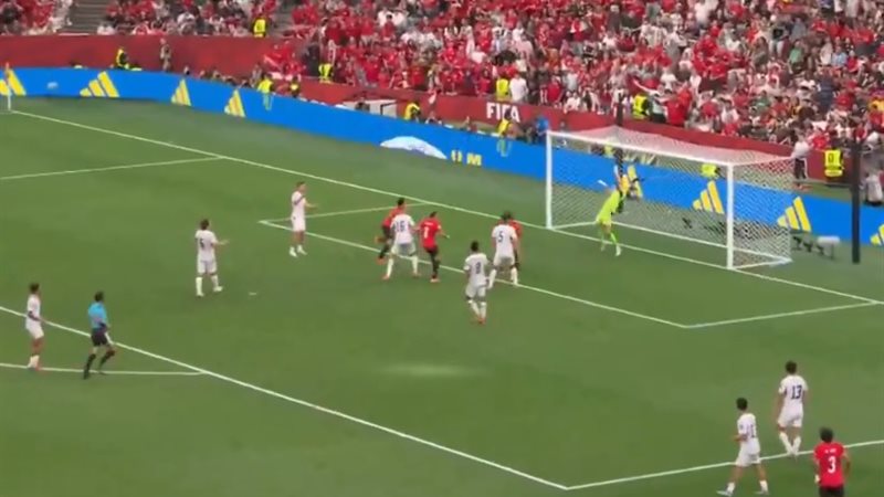 مصر ونيوزيلندا