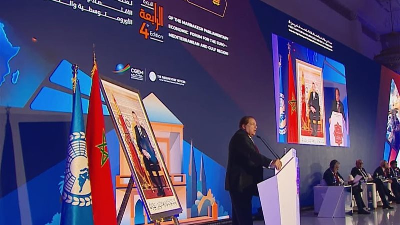 النائب محمد أبو العينين