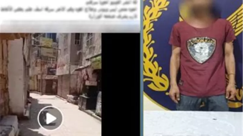 سرق محتويات المنزل.. ضبط شخص تعدى على شقيقه بسلاح أبيض في القليوبية