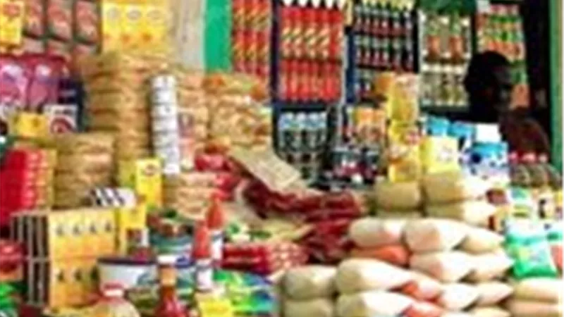 التموين: 175 مليار جنيه لدعم السلع والخبز 2026/2027.. ومحفظة سلعية مرنة تمنح المواطن حرية الاختيار