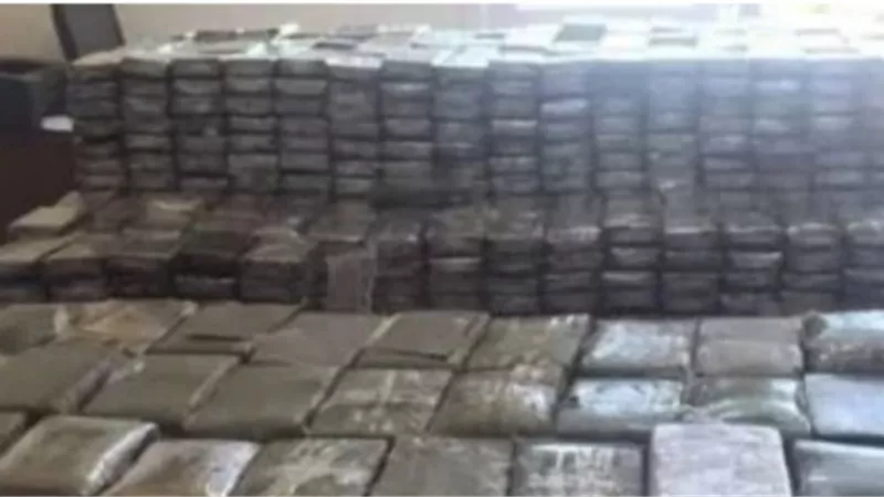 سقوط تاجر مخدرات بـ50 كيلو حشيش في الدقهلية بعد مراقبة أمنية مكثفة