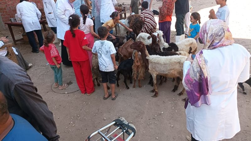 الأطباء البيطريين