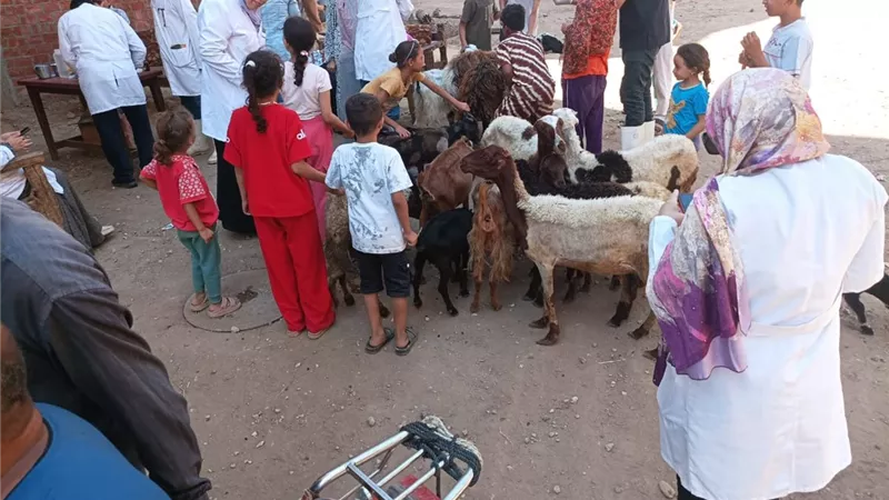 قوافل بيطرية مجانية تجوب قرى سوهاج لدعم الثروة الحيوانية وتقديم الرعاية العلاجية