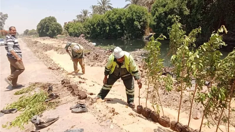محافظة الجيزة تطلق مبادرة 