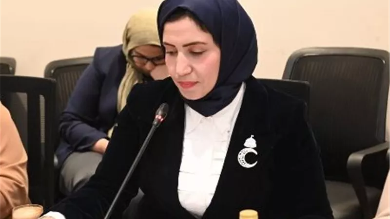 نائبة بالبرلمان تقترح قصر تقنين التكاتك على المناطق الشعبية وحظرها داخل المدن الجديدة