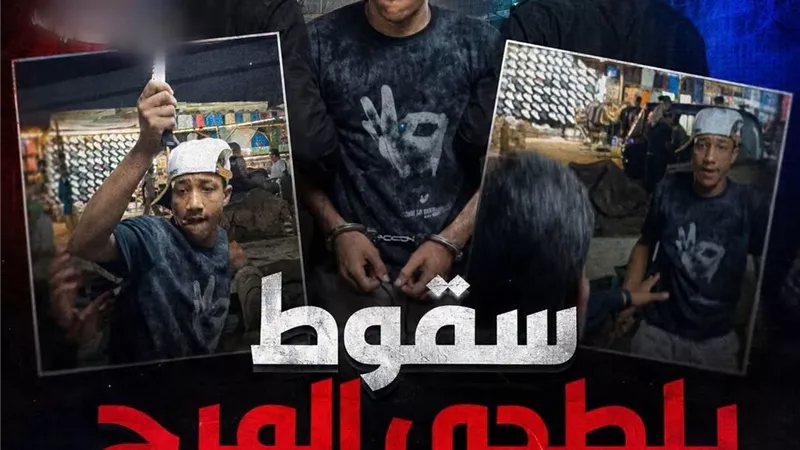 مباحث المرج تضبط المتهم بترويع المواطنين أمام محطة مترو المرج الجديدة