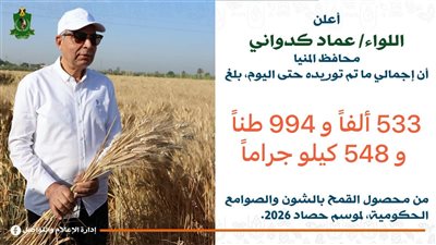 محافظ المنيا: توريد نحو 534 ألف طن من القمح المحلي
