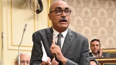 نائب يطالب التموين بالإفصاح عن معايير استبعاد 7 فئات من الدعم
