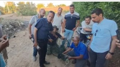 بعد يومين من البحث.. السيطرة على تمساح داخل مصرف بشبرامنت في الجيزة