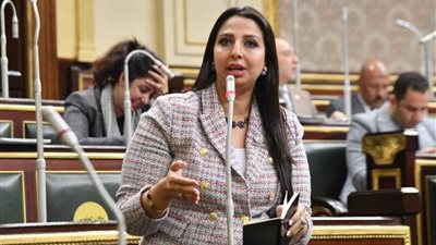 النائبة نشوى الشريف.. غياب الأرقام الرسمية أزمة ملف الاستبعاد من التموين