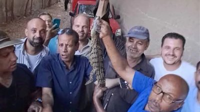 إسدال الستار على رعب 