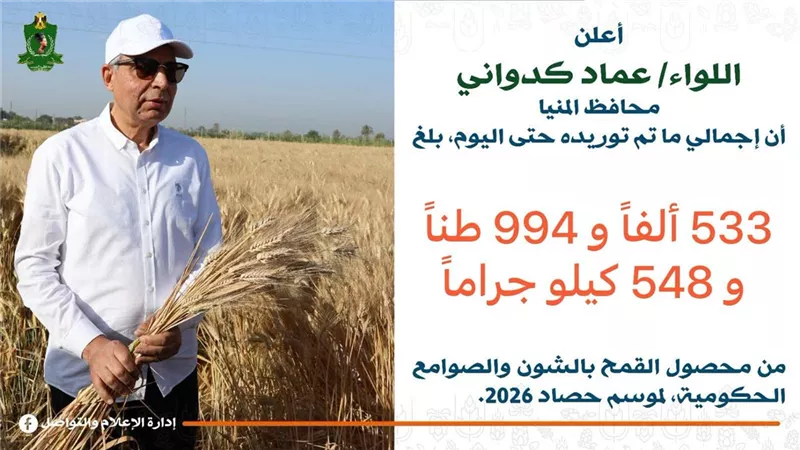 محافظ المنيا: توريد نحو 534 ألف طن من القمح المحلي