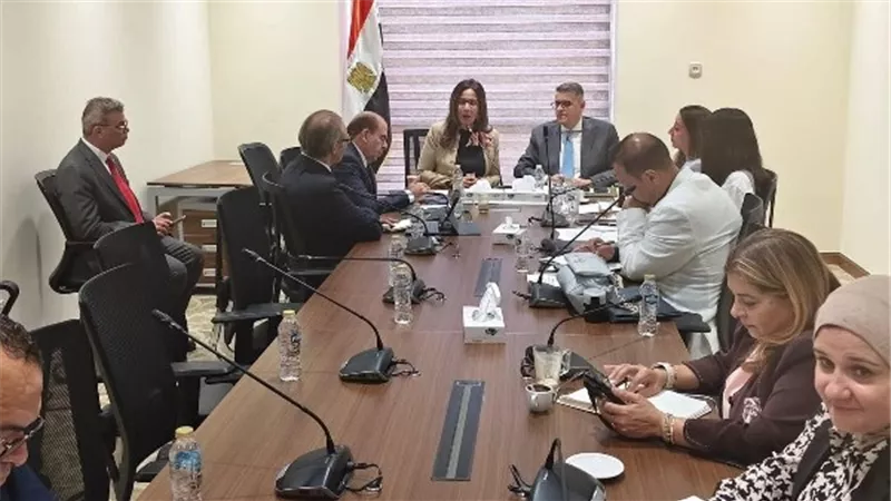 لجنة حقوق الإنسان تبحث مع جيهان زكي دور قصور الثقافة في نشر الوعي 