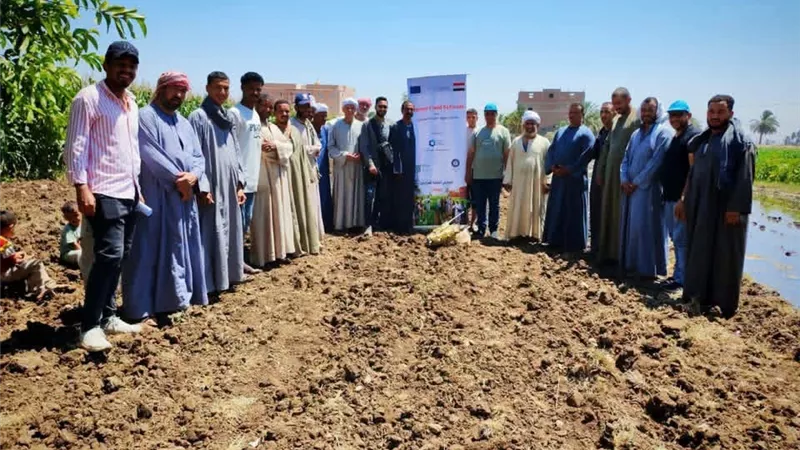 زراعة سوهاج تواصل تنفيذ المدارس الحقلية لنشر الممارسات الحديثة بمحصول الذرة الرفيعة