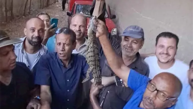 إسدال الستار على رعب 
