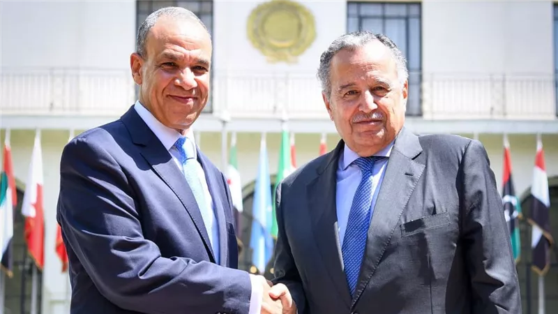 وزير الخارجية يهنئ نبيل فهمي بتوليه منصب الأمين العام لجامعة الدول العربية 