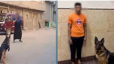 بعد انتشار الفيديو.. ضبط المتهم بدفع كلبه لمهاجمة سيدة في البحيرة