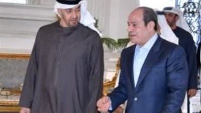 برلماني: لقاء السيسي وبن زايد يؤكد متانة الشراكة المصرية الإماراتية ودورها في دعم استقرار المنطقة